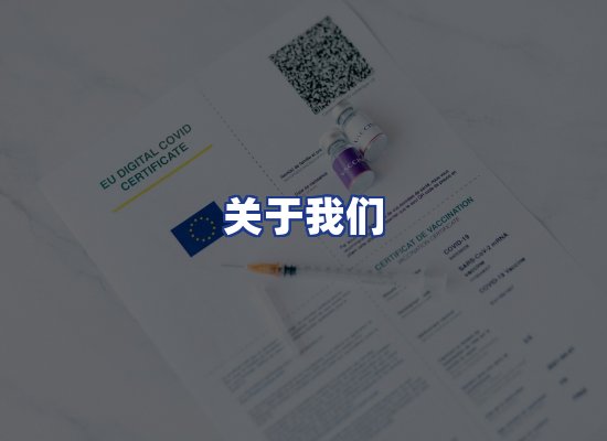 专业团队